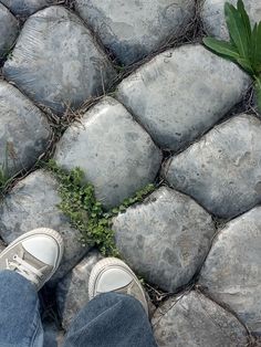 a person's feet are standing on the cobblestone pavement with plants growing in between them