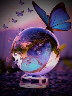 a blue butterfly flying over a glass ball filled with water and butterflies on top of it