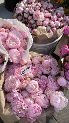 many pink flowers are on display at the flower market, and there is no image here to provide a caption for