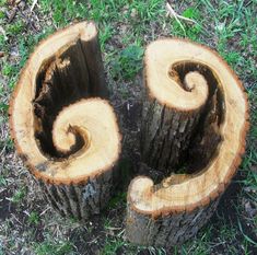 Spiral In Nature, Spirals In Nature, Fibonacci Spiral, Moon Garden, Sticks And Stones, Whitetail Deer, Perfect Timing, Land Art, On The Ground