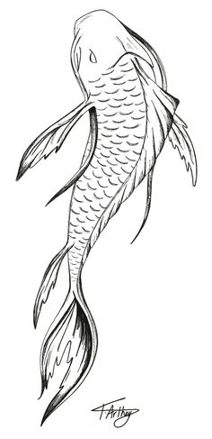 a black and white drawing of a koi fish with its tail curled up to the side