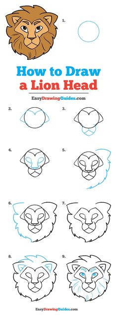 how to draw a lion head with easy step by step instructions for kids and adults