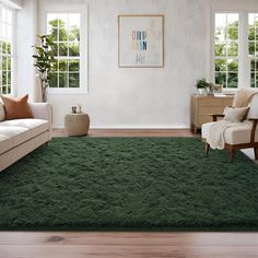 a living room filled with furniture and a green rug