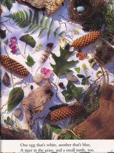 there are many different types of plants and animals on the tablecloth with words about them