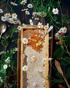 a beehive with daisies and spoons on the side next to it