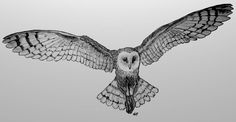 an owl flying through the air with its wings spread