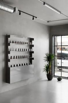 an empty room with a potted plant next to a wall mounted shelf filled with bottles