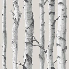 a group of white trees with no leaves on them in front of a gray background