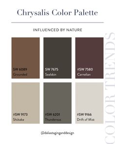 the color palette for an interior paint scheme