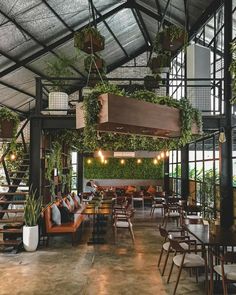 the inside of a restaurant with tables, chairs and plants hanging from the ceiling above