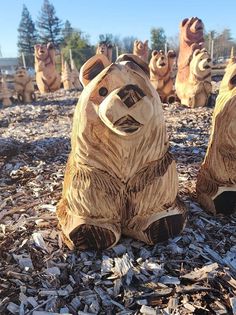 carved wooden bears sitting on top of wood chips