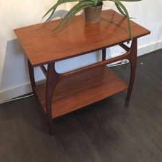 a potted plant sitting on top of a wooden table