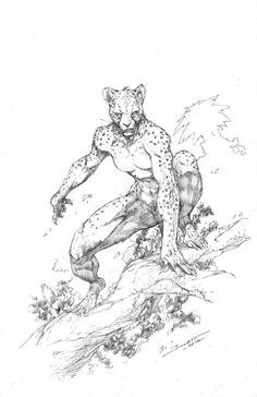 a black and white drawing of a cheetah crouching on a tree branch