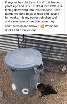 a chicken standing next to a trash can on top of dirt covered ground in front of a metal fence