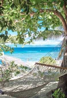 hammock on the beach with ocean in background Malolo Island Fiji, Malamala Beach Club Fiji, Paradise House, Denarau Island Fiji, Turtle Island Fiji, Fiji Island, Paradise Sea