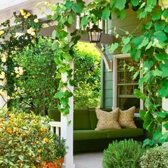 a green couch sitting on top of a wooden bench under a pergoline covered arbor