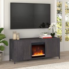 a living room with a fireplace and tv on the wall, in front of a window