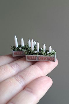 someone is holding some tiny candles in their hand with moss growing on them and the words merry christmas