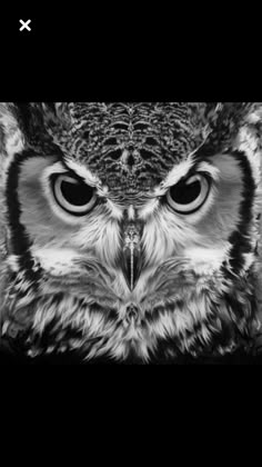 an owl with big eyes is shown in black and white