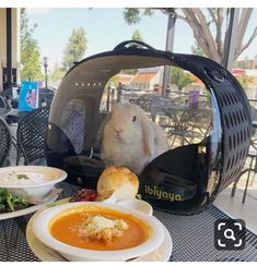 a rabbit in a cage sitting on top of a table next to bowls of food