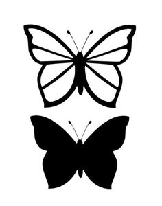 two butterflies that are black and white, one has a large butterfly on it's back