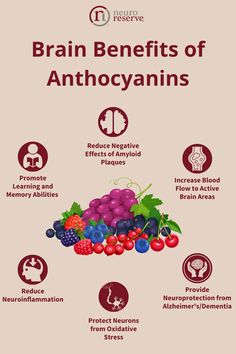 Brain Benefits of Anthocyanins Boron Benefits, Brain Nutrition, Mind Diet, Best Fat Burning Foods, Fat Burning Foods, Health Info, Improve Health, Brain Health, Healthy Nutrition