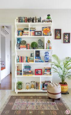 a white book shelf filled with books next to a potted plant on top of a rug