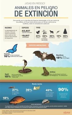 an info poster showing the different types of animals in spanish, english and french language