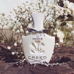 Niche Perfume Collection, Creed Love In White, Mens Perfume, Creed Perfume, Creed Fragrance, Wedding Perfume, Creed Aventus, Parfum Chanel