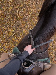 a person is petting a horse's head while sitting on the ground in front of leaves