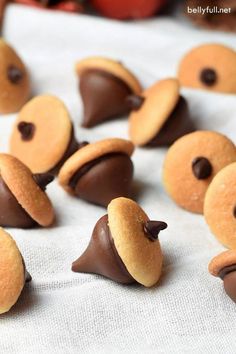 chocolate covered cookies are arranged in the shape of an animal's head and nose