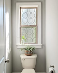 a white toilet sitting next to a window with a potted plant on top of it