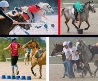 four pictures of horses and jockeys in different positions