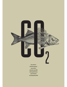 an image of a fish with the letter c in it's mouth and number two