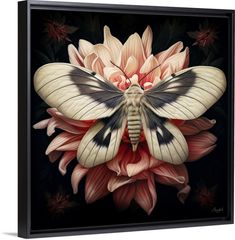 a butterfly sitting on top of a flower in front of a black background with red and white flowers