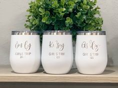 three white wine glasses sitting on top of a wooden shelf next to a potted plant