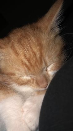 an orange and white cat sleeping on top of a couch