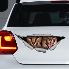 Caracal Cat, Lovely Cat, 3d Stickers, Broken Glass, Door Stickers, Car Decoration, Accessories Car