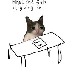 a cat sitting at a desk with the caption what the f k is going on