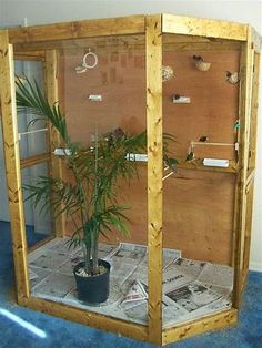 a potted plant sitting inside of a wooden enclosure