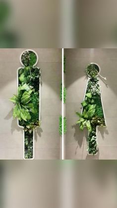 two pictures of the same wall with plants on it, one is cut in half to look like a woman's body