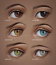 the different types of eyes are shown in this image