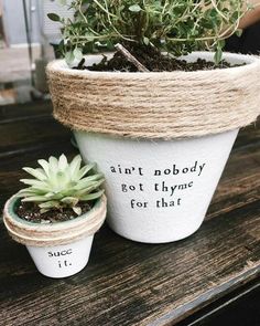 two potted plants sitting on top of a wooden table with rope wrapped around them