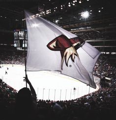 a flag is being held up in the air at a hockey game