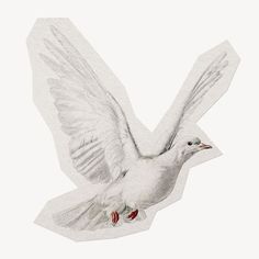 a white bird flying through the air with its wings spread