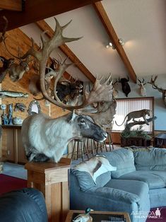 a living room filled with furniture and antlers on the wall