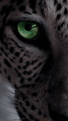 a close up of a leopard's face with green eyes