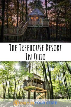 the treehouse resort in ohio with text overlay that reads, the treehouse resort in ohio