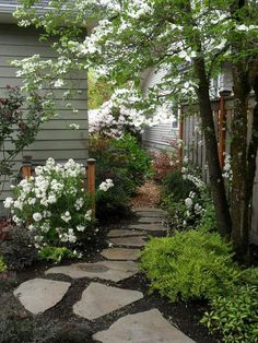 a garden with white flowers and trees in the front yard, along side a house