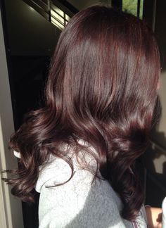 Summer Hair Color Ideas, Mahogany Hair, Bombshell Hair, Trendy Shades, Red Hair Inspo, Wine Hair, Cherry Hair